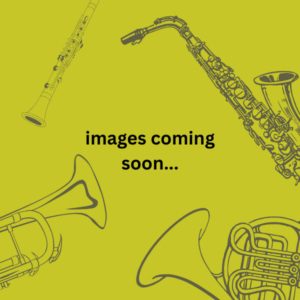 F. Buisson No. 5827 – French-Made Bb Clarinet