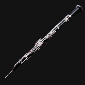 Renard Protégé Oboe Model 333 #18772